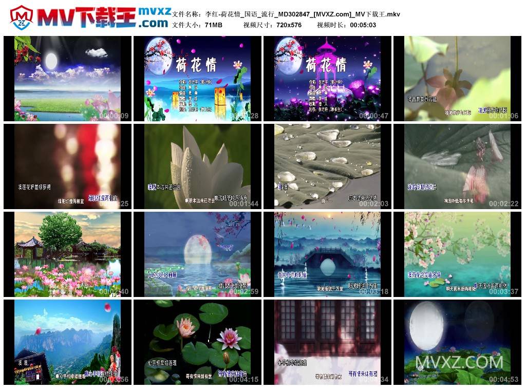 李红-荷花情_国语_流行_MD302847